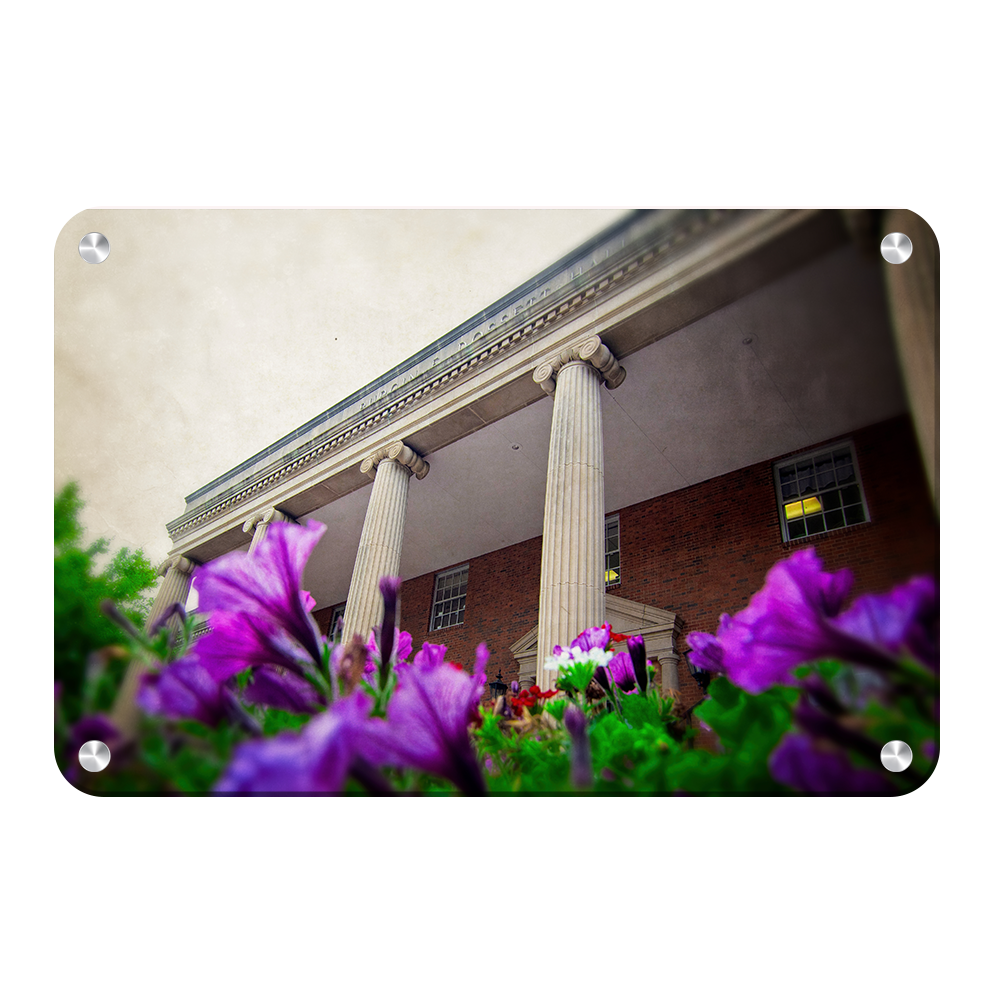 ETSU - Burgin Dossett Petunias - College Wall Art#Canvas