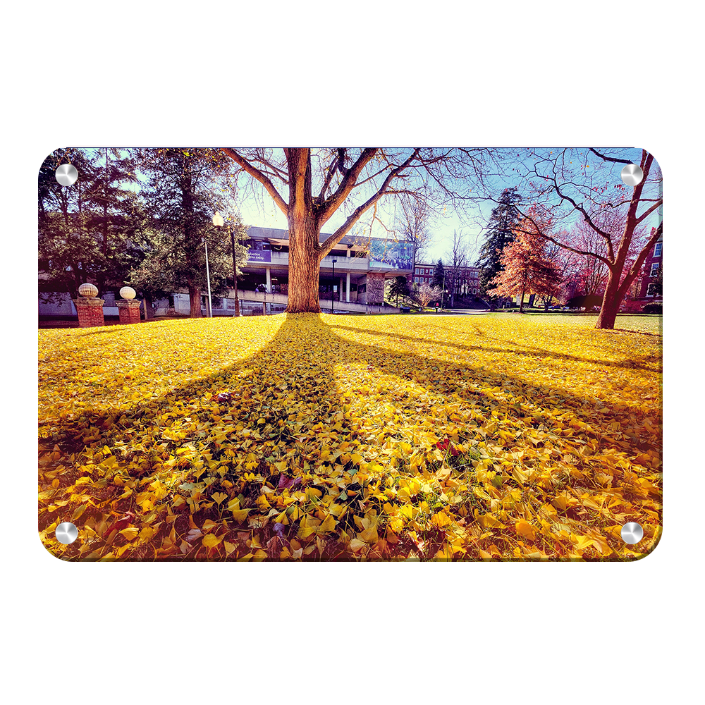 ETSU - Autumn Day - College Wall Art#Canvas
