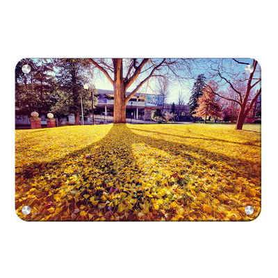 ETSU - Autumn Day - College Wall Art#Metal