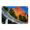 ETSU - Autumn Blaze - College Wall Art#Metal