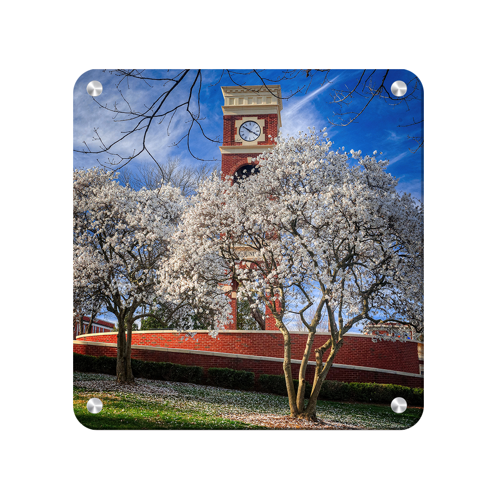 ETSU - Spring - College Wall Art #Canvas