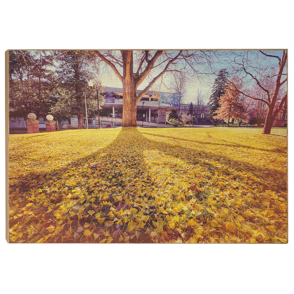 ETSU - Autumn Day - College Wall Art#Canvas