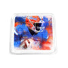 Florida Gators - SEC Champs Drink Coaster