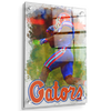 Florida Gators - Gator Run - College Wall Art #Acrylic