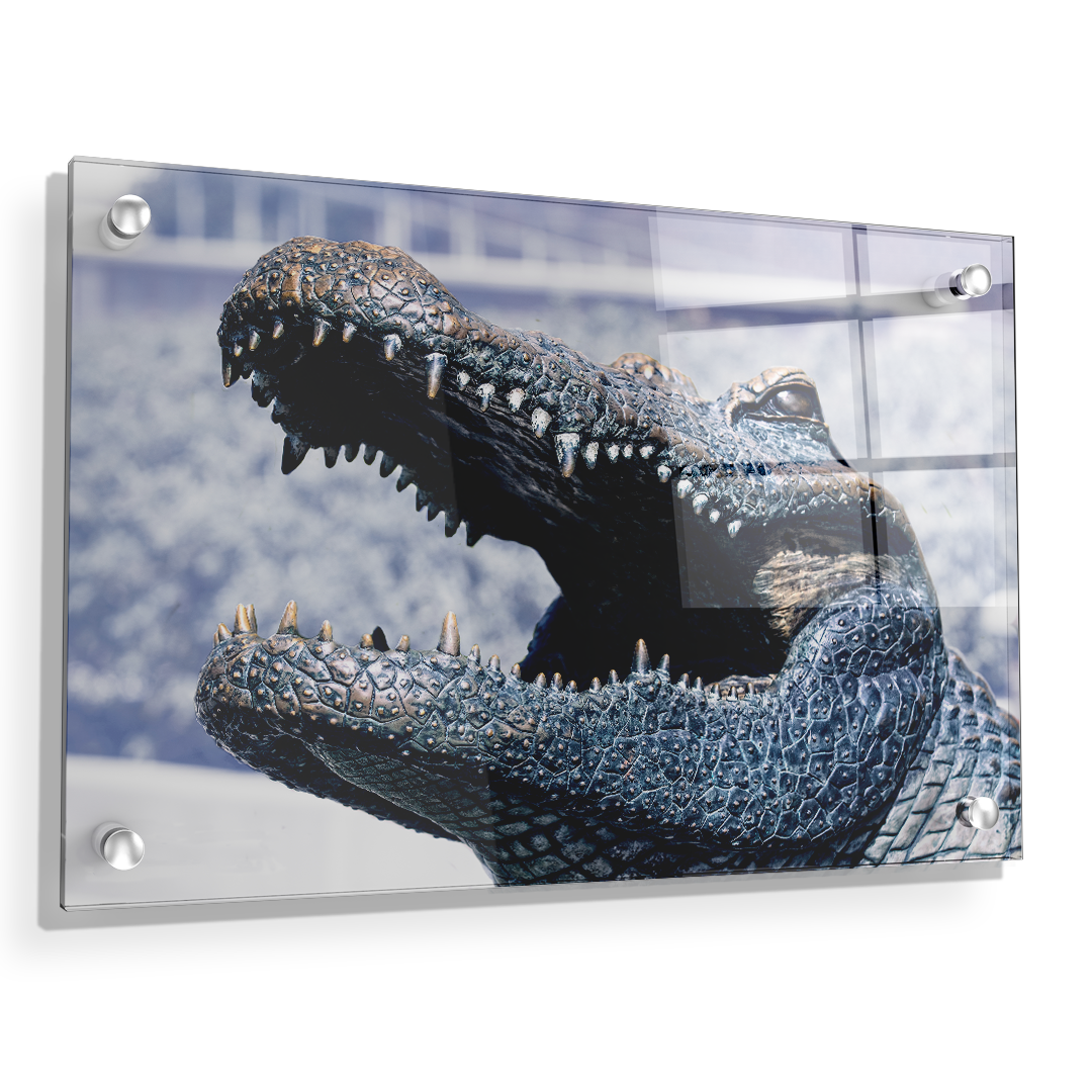 Florida Gators - Bull Gator Up Close - College Wall Art #Canvas