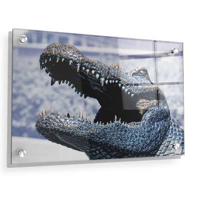 Florida Gators - Bull Gator Up Close - College Wall Art #Acrylic