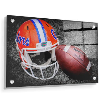 Florida Gators - Gator Ball Helmet - College Wall Art #Acrylic