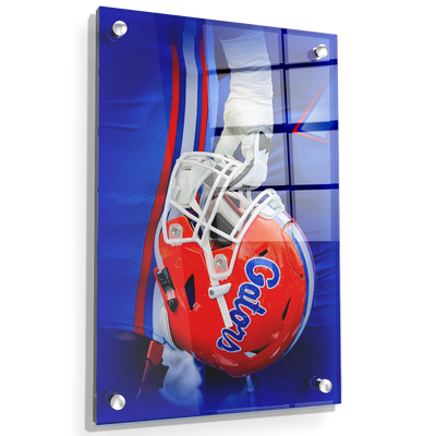 Florida Gators - Warrior - College Wall Art #Acrylic