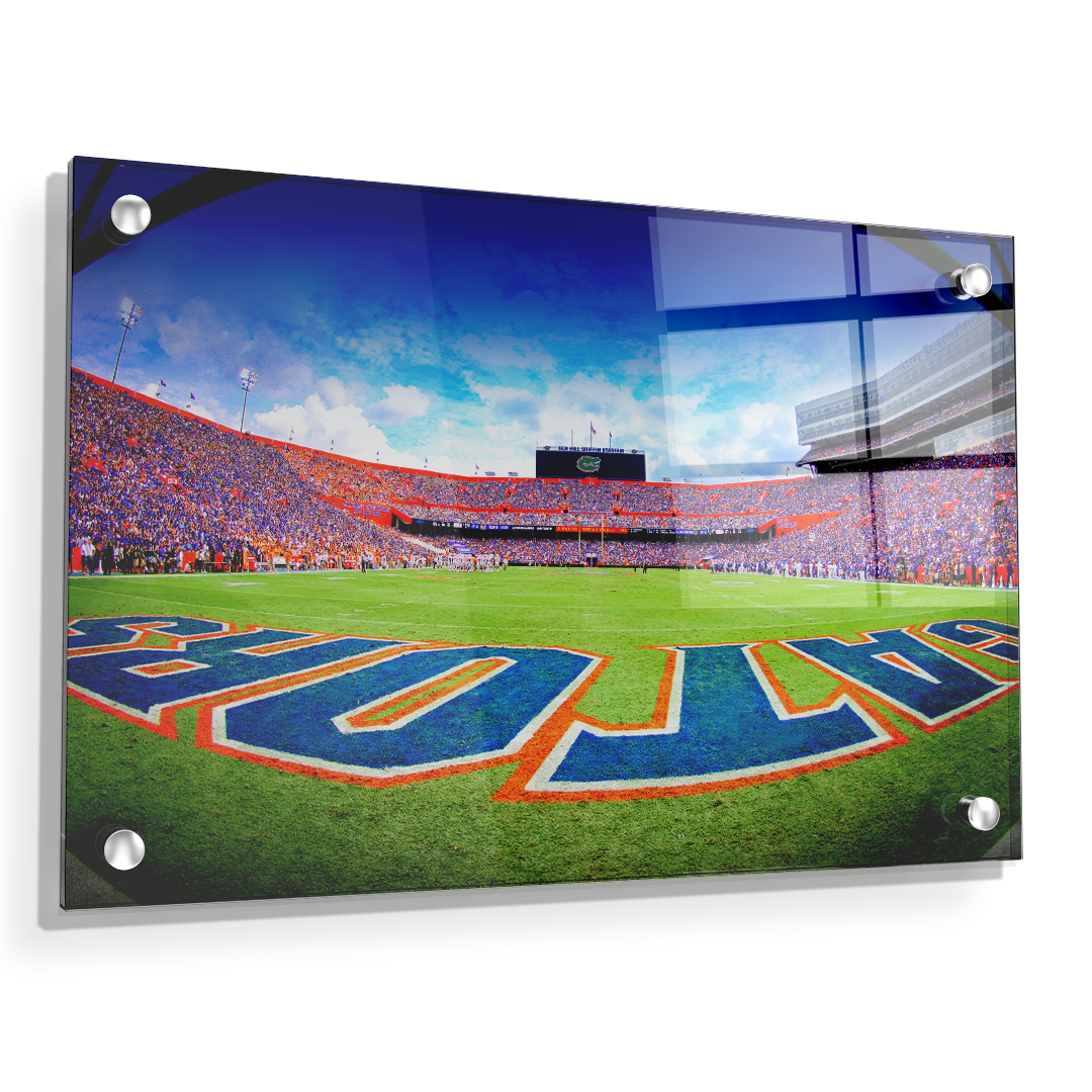 Florida Gators - Swamp End Zone - College Wall Art #Canvas