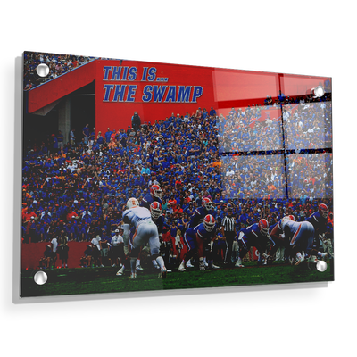 Florida Gators - In the Swamp - College Wall Art #Acrylic