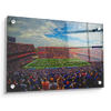 Florida Gators - Gators Half Time - College Wall Art #Acrylic