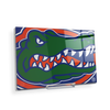 Florida Gators - Gator - College Wall Art #Acrylic Mini