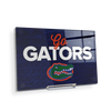 Florida Gators - Go Gators - College Wall Art #Acrylic Mini