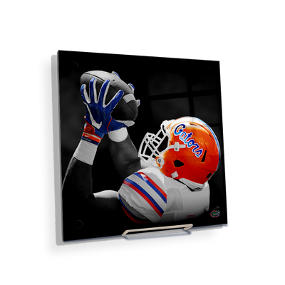 Florida Gators - The Catch - College Wall Art #Acrylic Mini