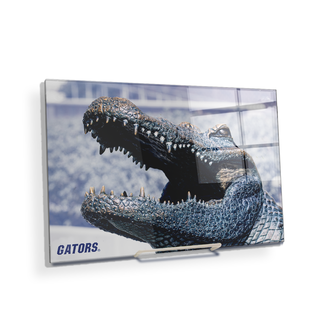 Florida Gators - Bull Gator Up Close - College Wall Art #Canvas