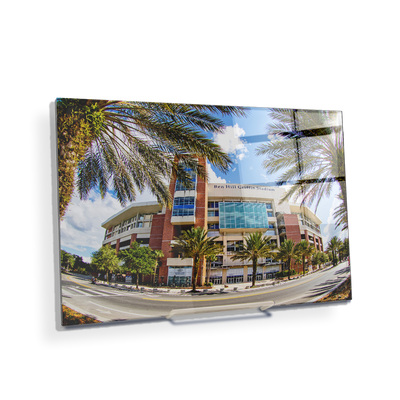 Florida Gators - Fisheye View Ben Hill Griffin Stadium - College Wall Art #Acrylic Mini