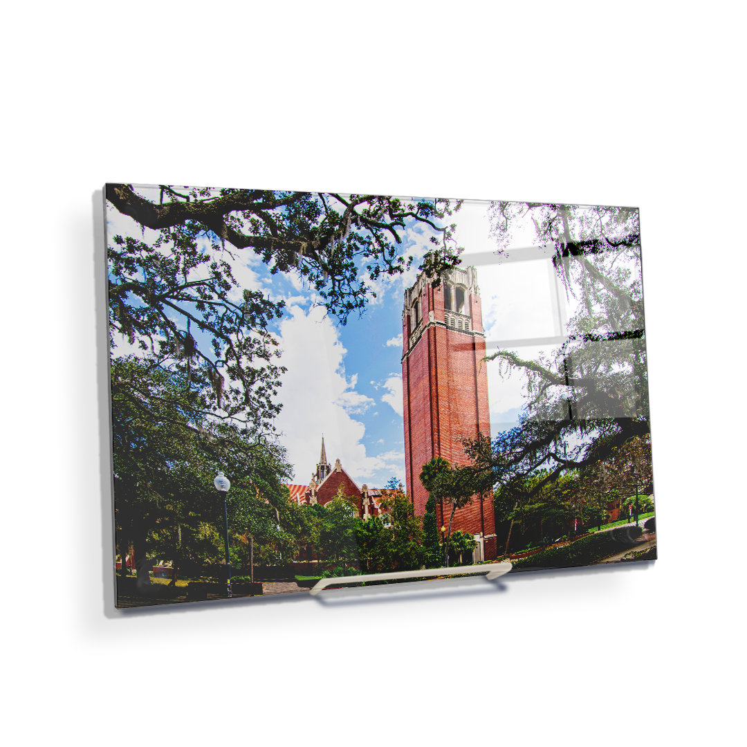 Florida Gators - Century Tower - College Wall Art #Canvas