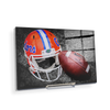 Florida Gators - Gator Ball Helmet - College Wall Art #Acrylic Mini