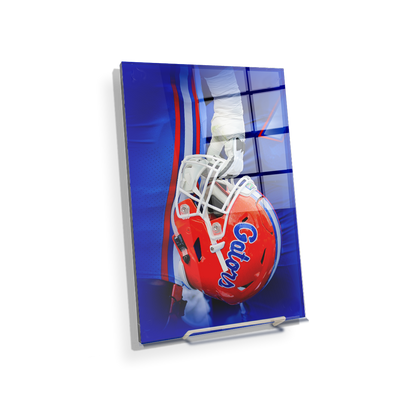 Florida Gators - Warrior - College Wall Art #Acrylic Mini