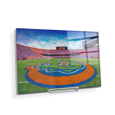 Florida Gators - Gators Mid Field - College Wall Art #Acrylic Mini