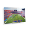 Florida Gators - Pride of the Sunshine- College Wall Art #Acrylic Mini