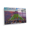 Florida Gators - Steve Spurrier Field - College Wall Art #Acrylic Mini