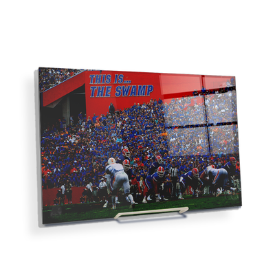 Florida Gators - In the Swamp - College Wall Art #Acrylic Mini