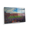 Florida Gators - Gators Half Time - College Wall Art #Acrylic Mini