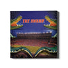 Florida Gators - Night Gator - College Wall Art #Canvas