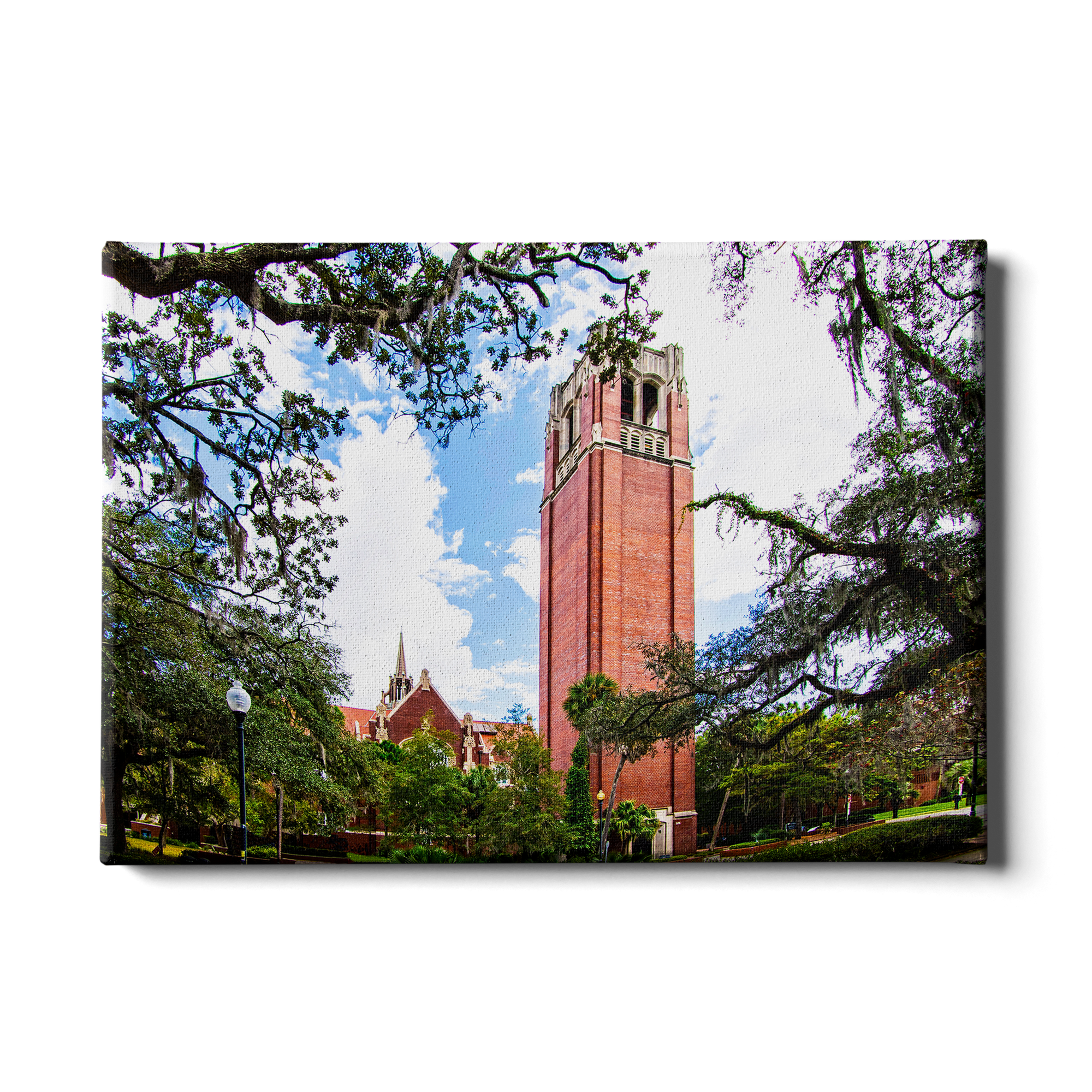 Florida Gators - Century Tower - College Wall Art #Canvas