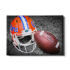 Florida Gators - Gator Ball Helmet - College Wall Art #Canvas