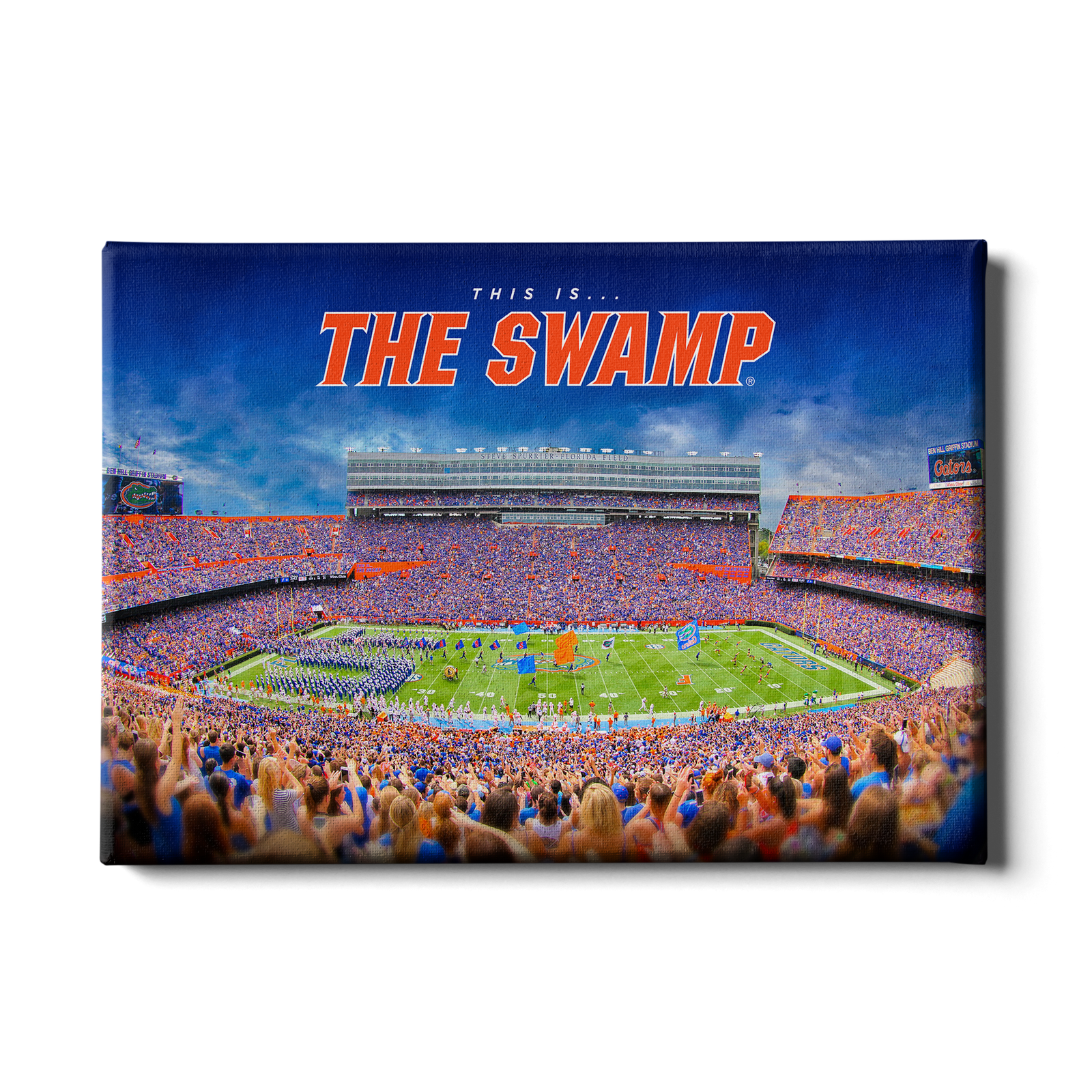 Florida Gators - The Swamp - College Wall Art #Canvas