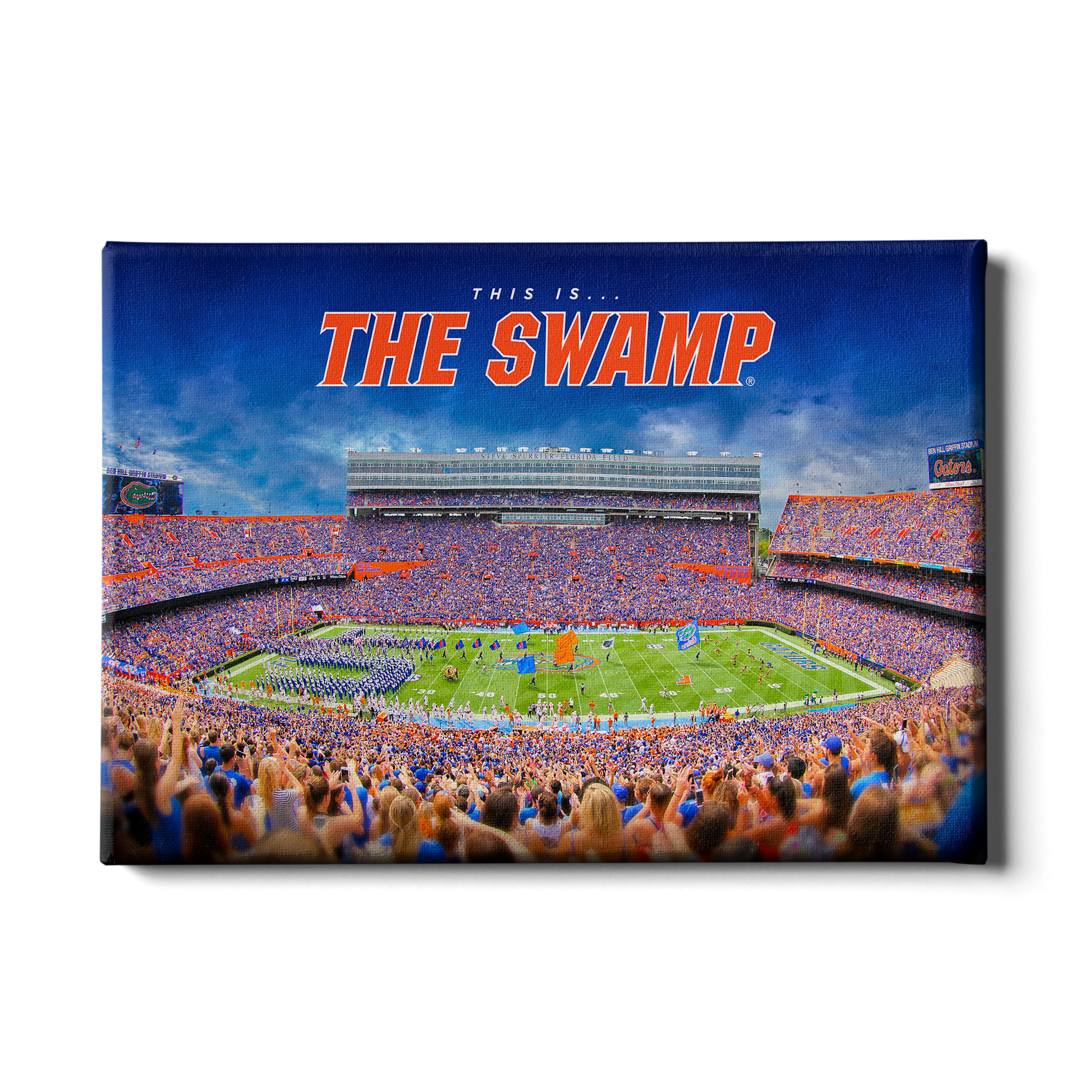 Florida Gators - The Swamp - College Wall Art #Canvas