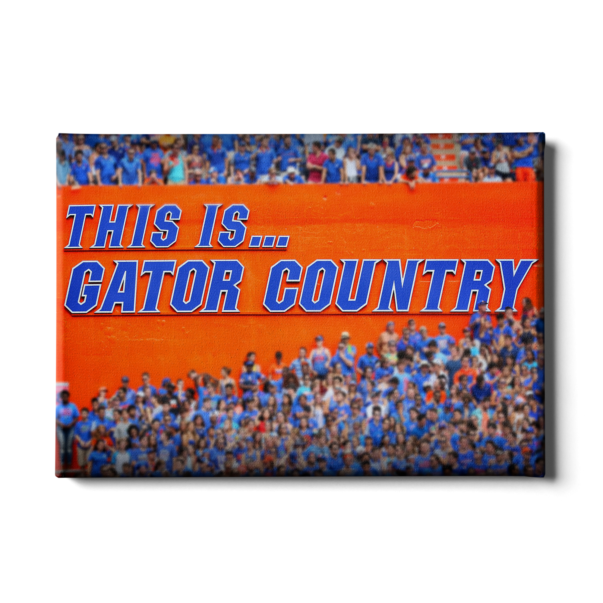 Florida Gators - Gator Country - College Wall Art #CAnvas