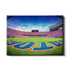 Florida Gators - Swamp End Zone - College Wall Art #Canvas