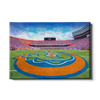 Florida Gators - Gators Mid Field - College Wall Art #Canvas