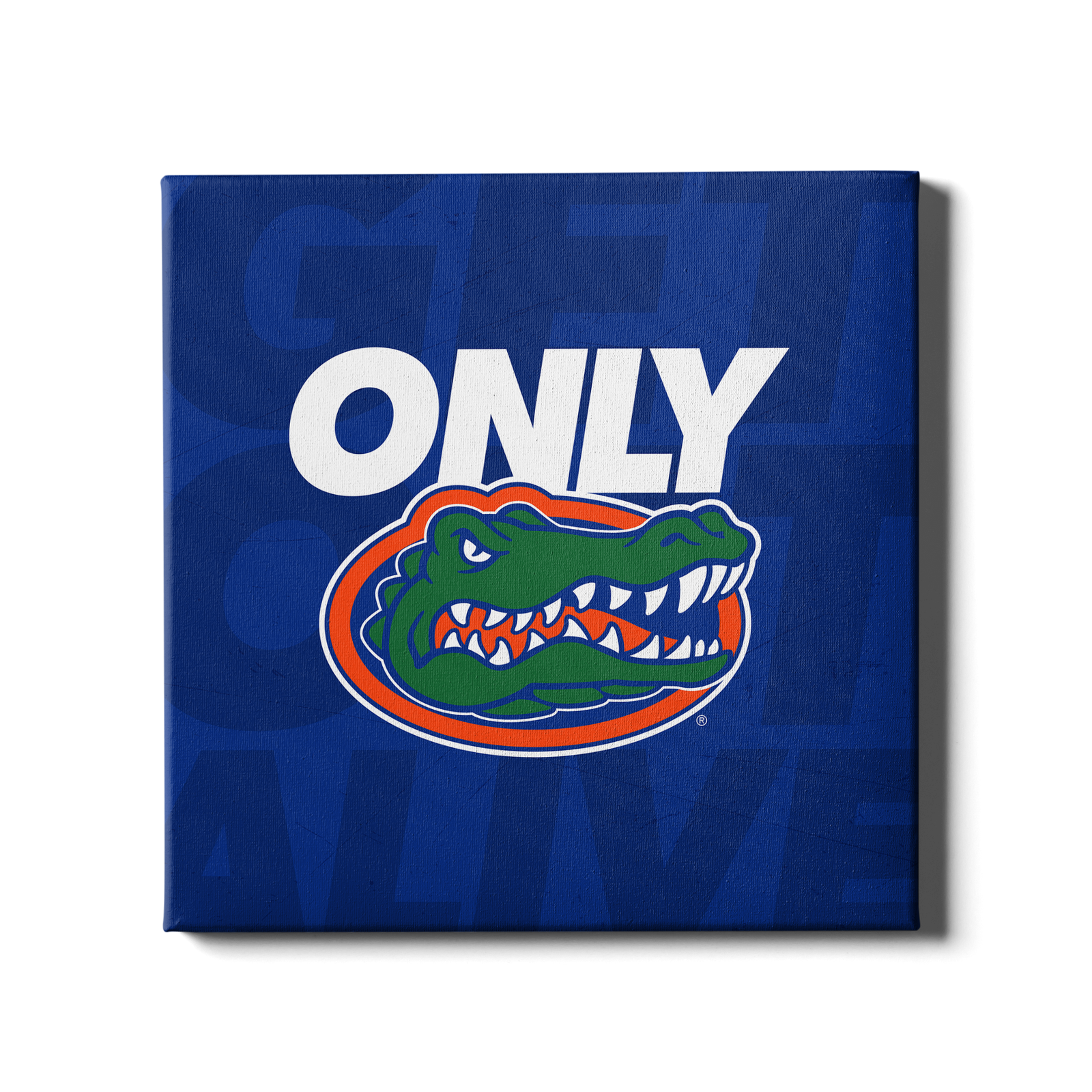 Florida Gators - Only Gators Blue - College Wall Art #Canvas
