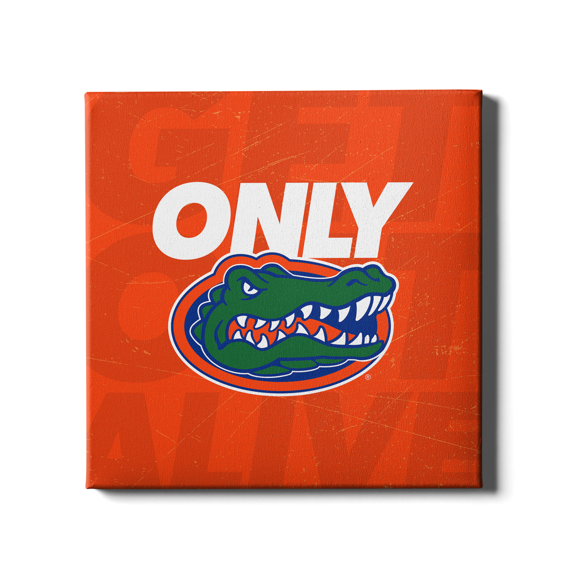 Florida Gators - Only Gators Orange - College Wall Art #Canvas