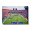 Florida Gators - Pride of the Sunshine- College Wall Art #Canvas