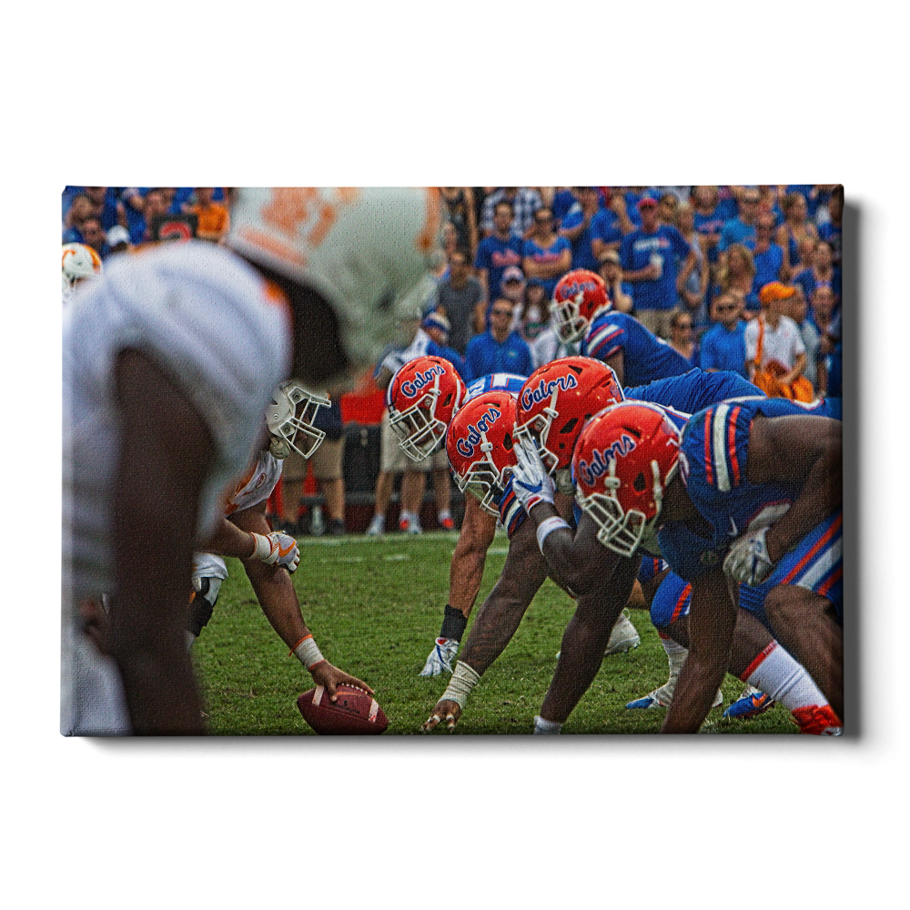 Florida Gators - Gator Line - College Wall Art #Canvas