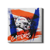 Florida Gators - Florida Gators Paint Splash - College Wall Art #Canvas