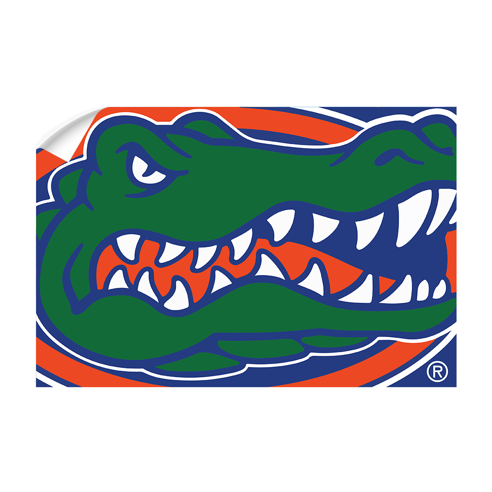 Florida Gators - Gator - College Wall Art #Canvas