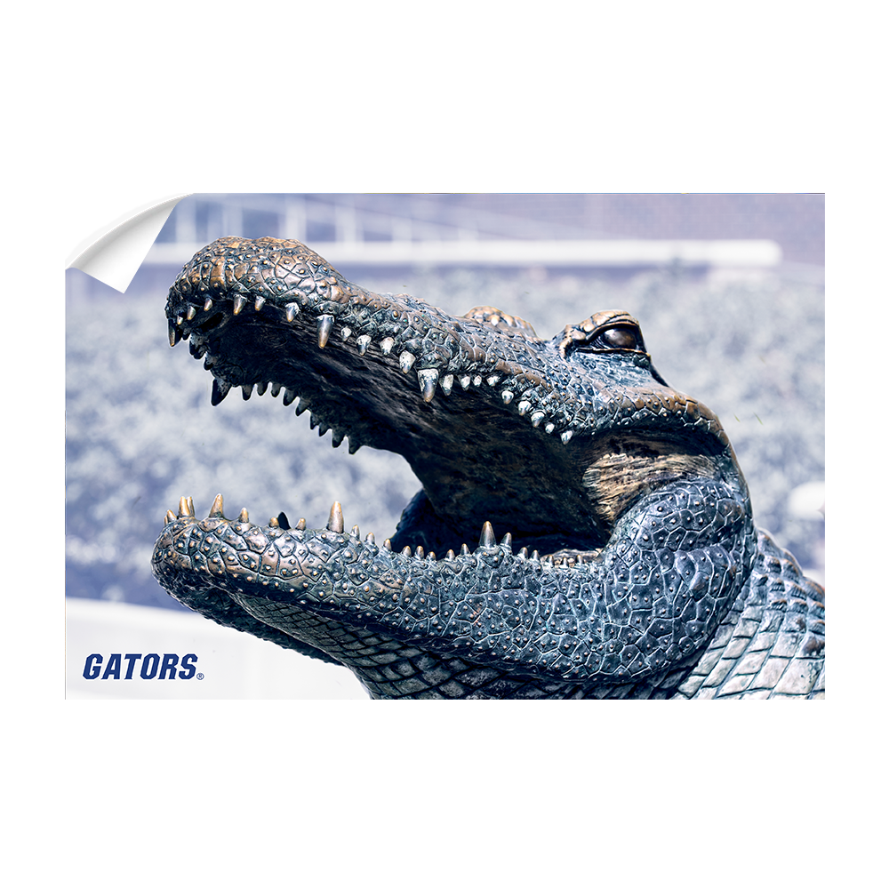 Florida Gators - Bull Gator Up Close - College Wall Art #Canvas