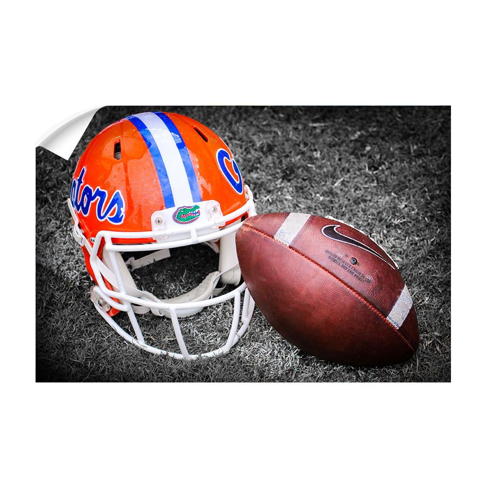 Florida Gators - Gator Ball Helmet - College Wall Art #Canvas