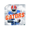 Florida Gators - Gators Mixed Media - College Wall Art #Wall Decal