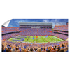 Florida Gators - Ben Hill Griffin Stadium Pano - College Wall Art #Wall Decal