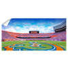 Florida Gators - Gators Panoramic - College Wall Art #Wall Decal