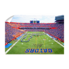 Florida Gators - Pride of the Sunshine- College Wall Art #Wall Decal