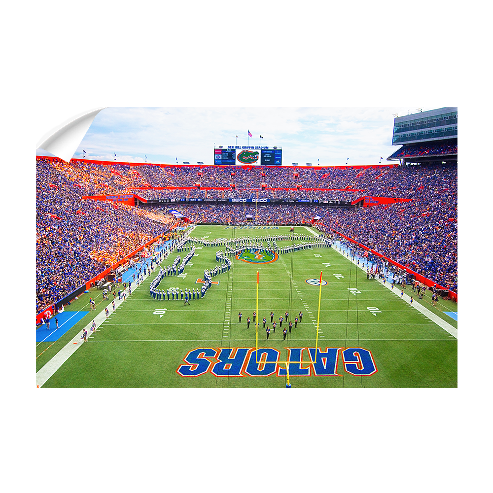 Florida Gators - Pride of the Sunshine- College Wall Art #Canvas