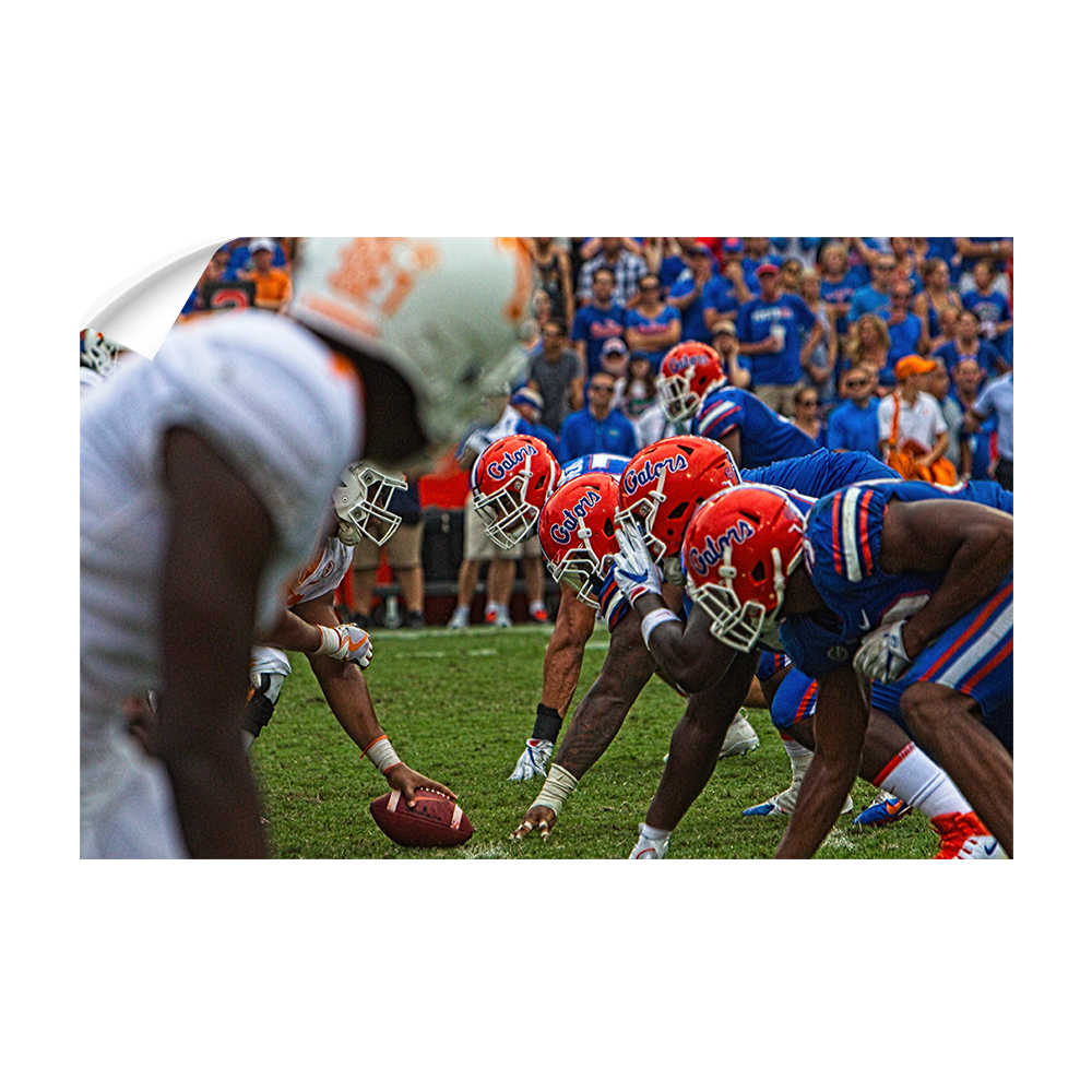 Florida Gators - Gator Line - College Wall Art #Canvas